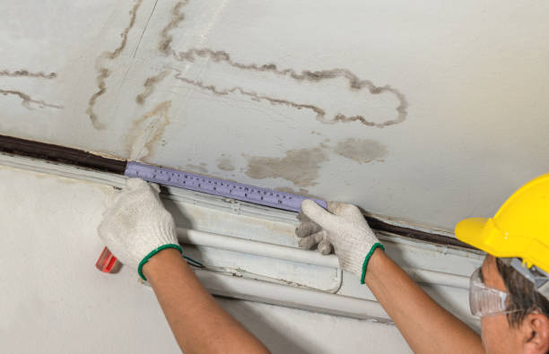 Reliable Burst Pipe Cleanup contractor in Zoar, OH by Water Damage Irwin